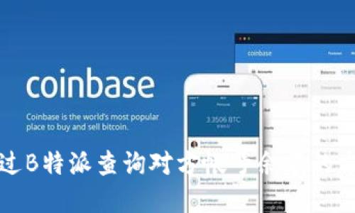 如何通过B特派查询对方帐号余额的方法详解