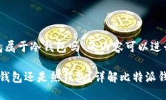 针对“比特派钱包属于冷