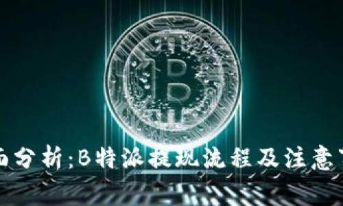 全面分析:B特派提现流程及注意事项