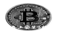 如何在iOS设备上安装B特派