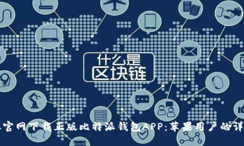 如何从官网下载正版比特派钱包APP：苹果用户的详细指南