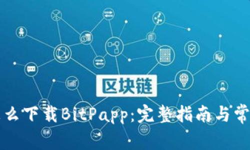苹果手机怎么下载BitPapp：完整指南与常见问题解答