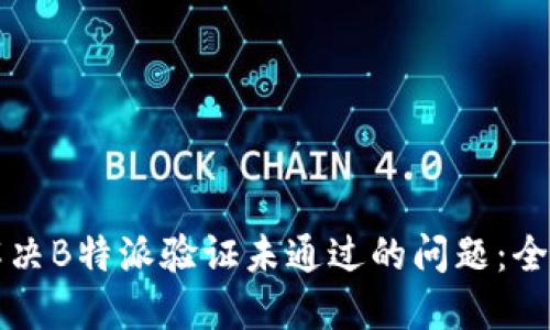 如何解决B特派验证未通过的问题：全面指南