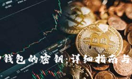 如何找回BitP钱包的密钥:详细指南与常见问题解答
