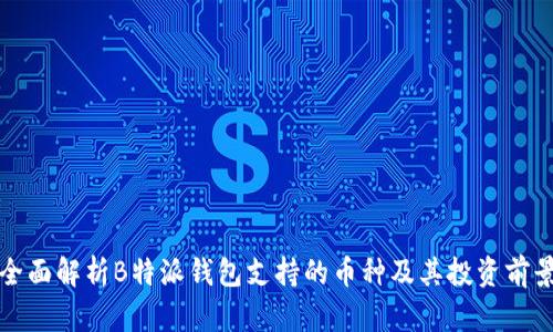 全面解析B特派钱包支持的币种及其投资前景