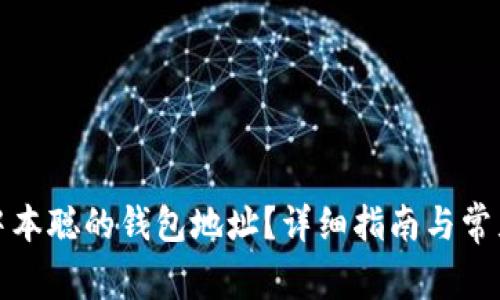 如何找到中本聪的钱包地址？详细指南与常见问题解答