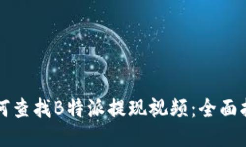 如何查找B特派提现视频：全面指南