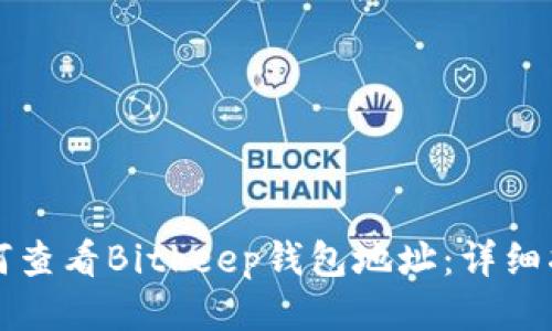 如何查看Bitkeep钱包地址：详细指南