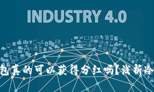 CHZ币放入冷钱包真的可以获得分红吗？浅析冷钱包与分红机制