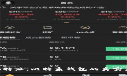 深入探讨B特派：比特系钱包的真实身份与功能