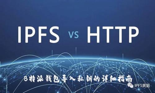 B特派钱包导入私钥的详细指南