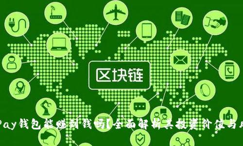 CGPay钱包能赚到钱吗?全面解析其投资价值与风险
