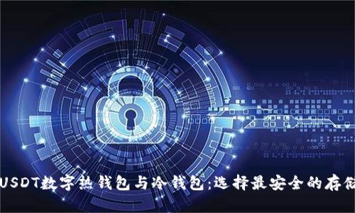 详解USDT数字热钱包与冷钱包:选择最安全的存储方案