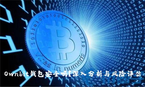 Ownbit钱包安全吗?深入分析与风险评估