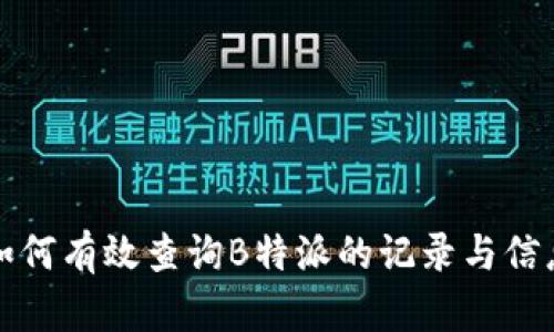 如何有效查询B特派的记录与信息