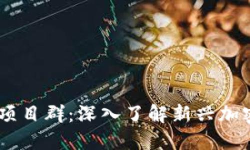 币圈首码项目群：深入了解新兴加密货币项目