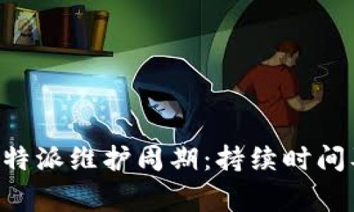 深入了解B特派维护周期：持续时间及注意事项