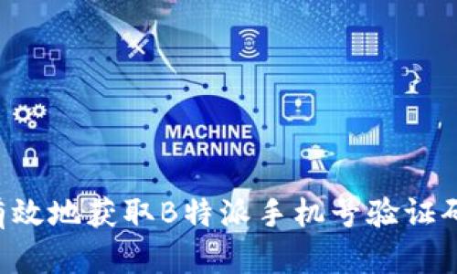 如何安全有效地获取B特派手机号验证码:全面指南