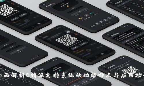 全面解析B特派支持系统的功能特点与应用场景