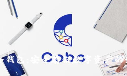 阿拉丁冷钱包:安全存储数字资产的最佳选择