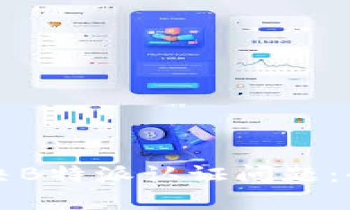 如何解决B特派认证问题：全面指南