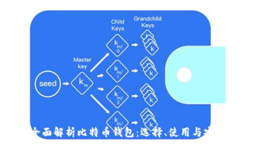 全面解析比特币钱包：选择、使用与安全