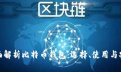 全面解析比特币钱包：选