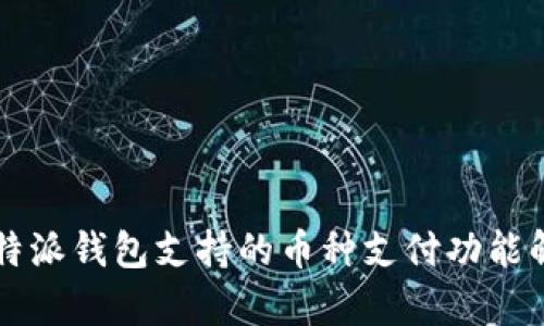 比特派钱包支持的币种支付功能解析