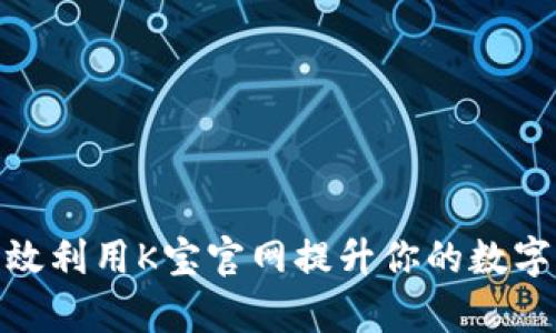 如何有效利用K宝官网提升你的数字化体验