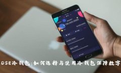 全面解析DSE冷钱包：如何