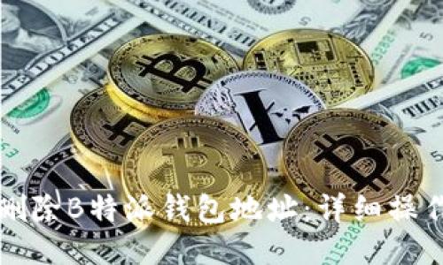 如何删除B特派钱包地址：详细操作指南