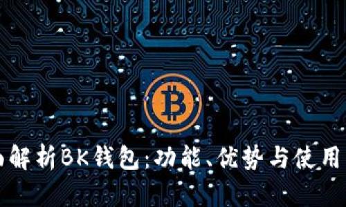 全面解析BK钱包：功能、优势与使用指南
