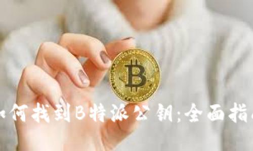 如何找到B特派公钥：全面指南