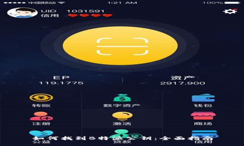 如何找到B特派公钥：全面指南