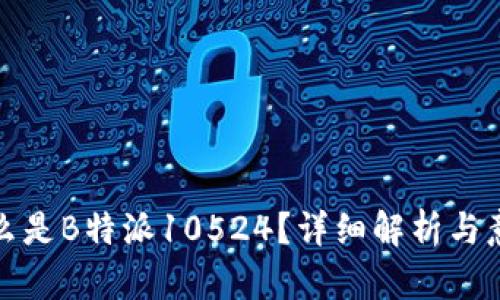 什么是B特派10524？详细解析与意义