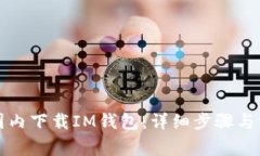 如何在国内下载IM钱包：详