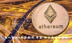 深入解析B特派助词：用法