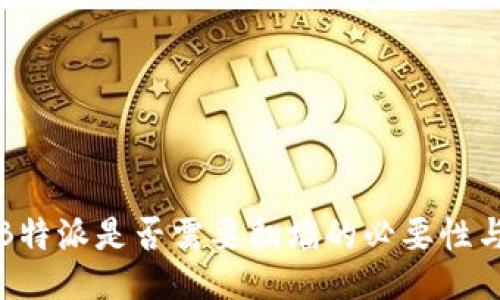 探讨B特派是否需要翻墙的必要性与方式
