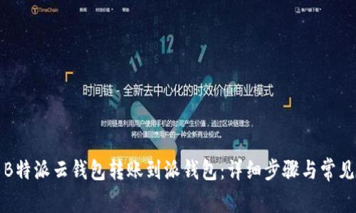 如何使用B特派云钱包转账到派钱包：详细步骤与常见问题解答