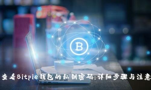 如何查看Bitpie钱包的私钥密码：详细步骤与注意事项