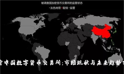 揭密中国数字货币交易所：市场现状与未来趋势分析
