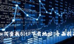 如何查找BitP下载地址：全