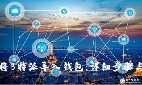如何将B特派导入钱包：详细步骤与指南