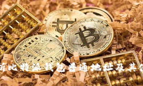 全面解析比特派钱包普通地址及其使用技巧