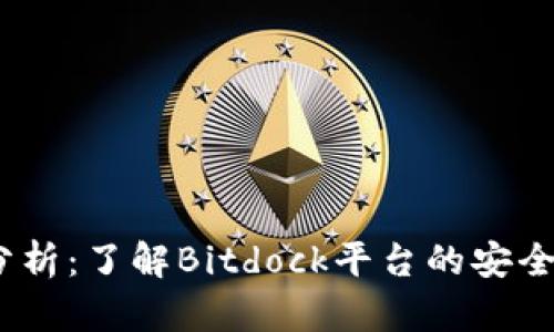 Bitdock安全性分析：了解Bitdock平台的安全措施与风险评估