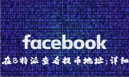 如何在B特派查看提币地址：详细指南