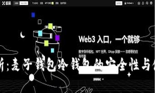全面解析:麦子钱包冷钱包的安全性与使用指南