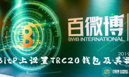 如何在BitP上设置TRC20钱包及其操作指南