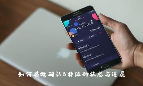 如何有效确认B特派的状态与进展