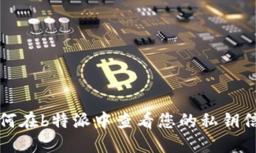 如何在b特派中查看您的私钥信息